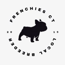 Home of Frenchies CT